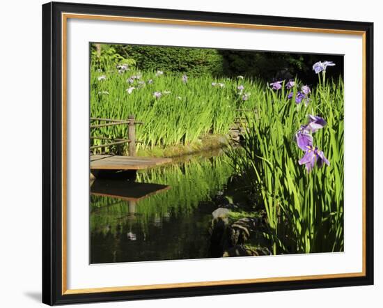 Summer in the Portland Japanese Garden, Portland, Oregon, USA-Michel Hersen-Framed Photographic Print