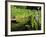 Summer in the Portland Japanese Garden, Portland, Oregon, USA-Michel Hersen-Framed Photographic Print