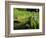 Summer in the Portland Japanese Garden, Portland, Oregon, USA-Michel Hersen-Framed Photographic Print