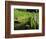 Summer in the Portland Japanese Garden, Portland, Oregon, USA-Michel Hersen-Framed Photographic Print