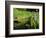 Summer in the Portland Japanese Garden, Portland, Oregon, USA-Michel Hersen-Framed Photographic Print