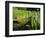 Summer in the Portland Japanese Garden, Portland, Oregon, USA-Michel Hersen-Framed Photographic Print