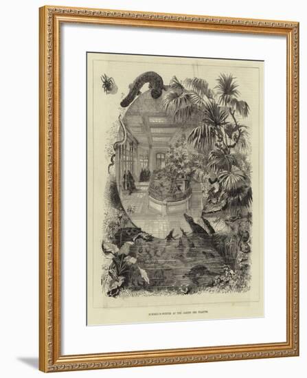 Summer-In-Winter at the Jardin Des Plantes-null-Framed Giclee Print