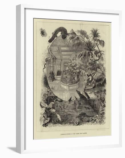 Summer-In-Winter at the Jardin Des Plantes-null-Framed Giclee Print