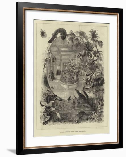 Summer-In-Winter at the Jardin Des Plantes-null-Framed Giclee Print