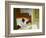 Summer Interior-Edward Hopper-Framed Giclee Print