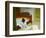 Summer Interior-Edward Hopper-Framed Giclee Print