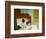 Summer Interior-Edward Hopper-Framed Giclee Print