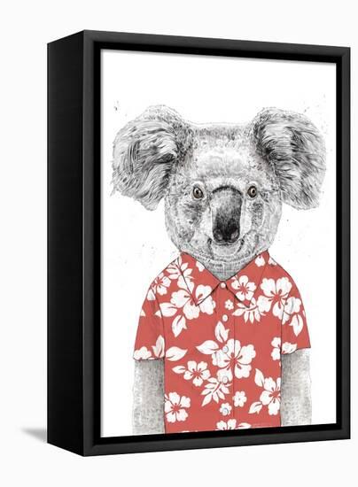 Summer Koala (Red)-Balazs Solti-Framed Stretched Canvas