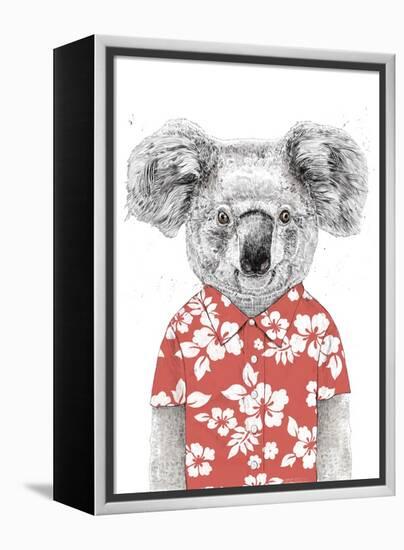 Summer Koala (Red)-Balazs Solti-Framed Stretched Canvas