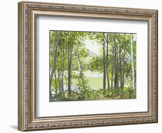 Summer Lake V-Elissa Gore-Framed Art Print