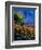 Summer Landscape 459090-Pol Ledent-Framed Art Print