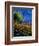 Summer Landscape 459090-Pol Ledent-Framed Art Print