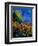 Summer Landscape 459090-Pol Ledent-Framed Art Print