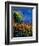 Summer Landscape 459090-Pol Ledent-Framed Art Print