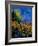 Summer Landscape 459090-Pol Ledent-Framed Art Print