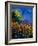 Summer Landscape 459090-Pol Ledent-Framed Art Print