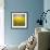Summer Landscape: Beauty Sunset over Sunflowers Field-nadiya_sergey-Framed Photographic Print displayed on a wall