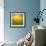 Summer Landscape: Beauty Sunset over Sunflowers Field-nadiya_sergey-Framed Photographic Print displayed on a wall