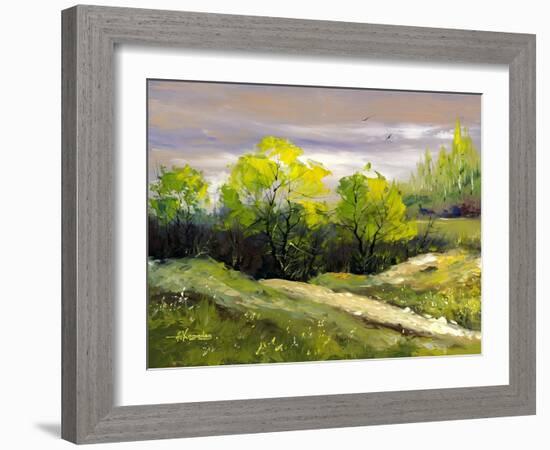 Summer Landscape Cloudy Day-balaikin2009-Framed Art Print