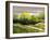 Summer Landscape Cloudy Day-balaikin2009-Framed Art Print