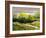 Summer Landscape Cloudy Day-balaikin2009-Framed Art Print