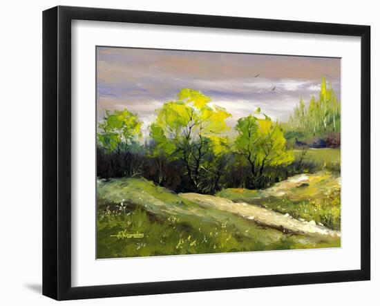 Summer Landscape Cloudy Day-balaikin2009-Framed Art Print