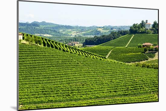 Summer Landscape in Langhe (Italy)-Claudiogiovanni-Mounted Photographic Print