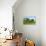 Summer Landscape in Monferrato (Italy)-Claudiogiovanni-Photographic Print displayed on a wall