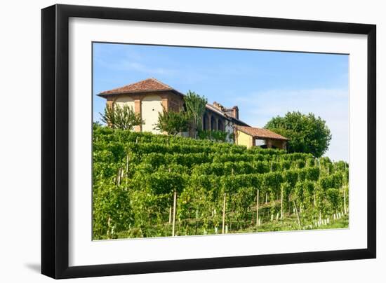 Summer Landscape in Monferrato (Italy)-Claudiogiovanni-Framed Photographic Print