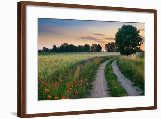 Summer Landscape with Country Road and Fields of Wheat. Masuria, Poland.-ysuel-Framed Photographic Print