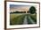 Summer Landscape with Country Road and Fields of Wheat. Masuria, Poland.-ysuel-Framed Photographic Print