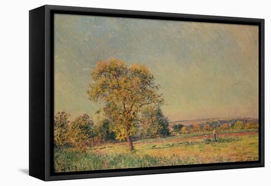 Summer Landscape with Large Tree, 1886-Alfred Sisley-Framed Premier Image Canvas