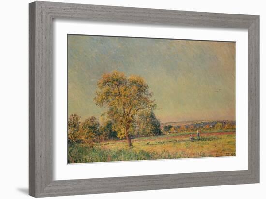 Summer Landscape with Large Tree, 1886-Alfred Sisley-Framed Giclee Print