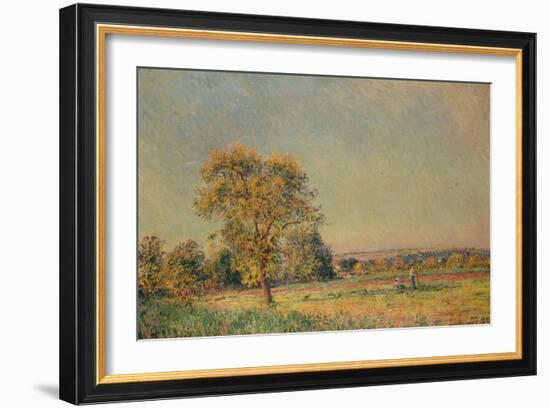 Summer Landscape with Large Tree, 1886-Alfred Sisley-Framed Giclee Print