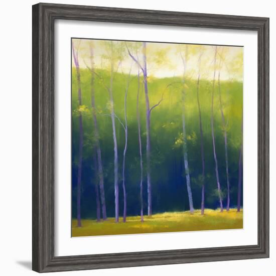 Summer Leaves-Teri Jonas-Framed Giclee Print