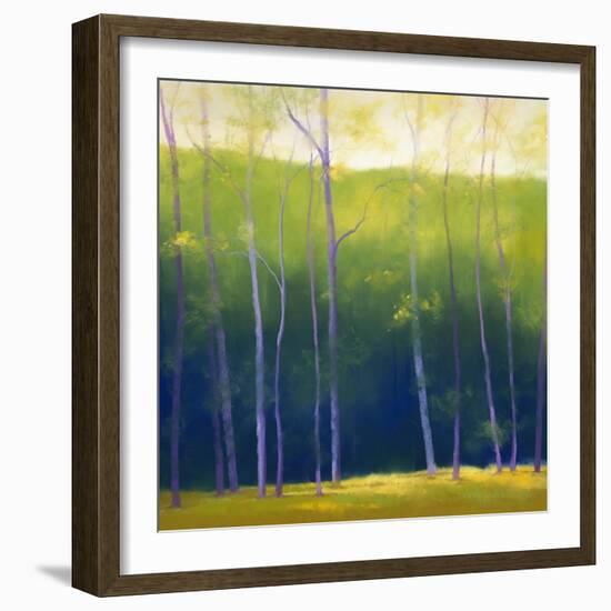 Summer Leaves-Teri Jonas-Framed Giclee Print