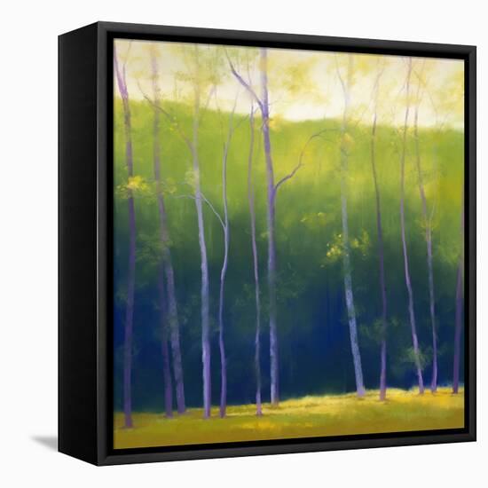 Summer Leaves-Teri Jonas-Framed Premier Image Canvas