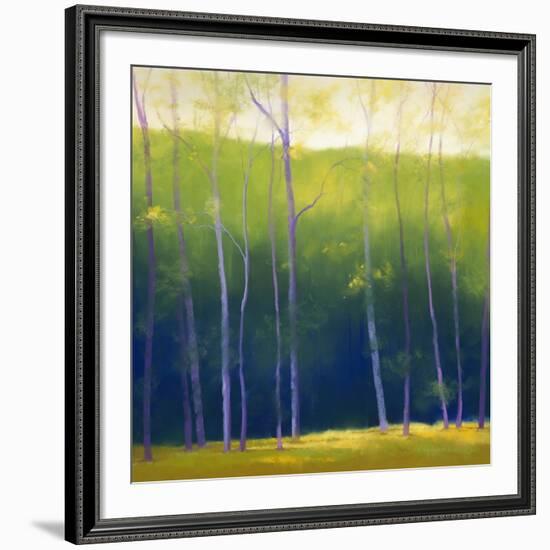 Summer Leaves-Teri Jonas-Framed Premium Giclee Print