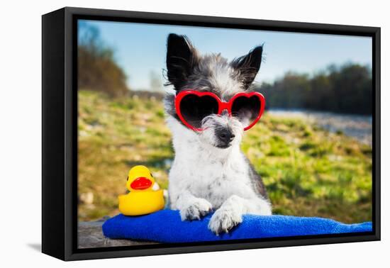 Summer Love Dog-Javier Brosch-Framed Premier Image Canvas