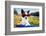 Summer Love Dog-Javier Brosch-Framed Photographic Print