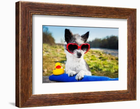 Summer Love Dog-Javier Brosch-Framed Photographic Print