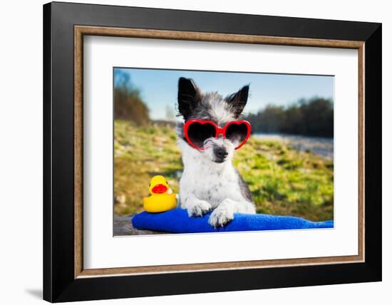 Summer Love Dog-Javier Brosch-Framed Photographic Print