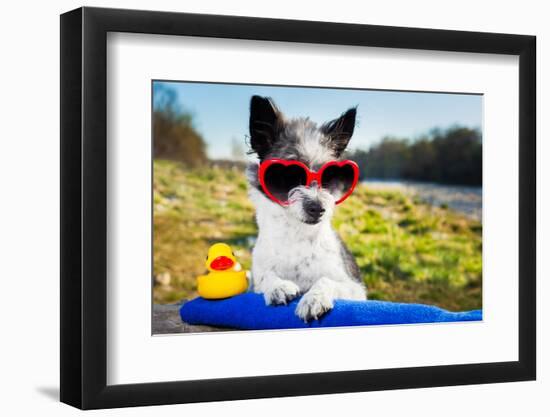 Summer Love Dog-Javier Brosch-Framed Photographic Print