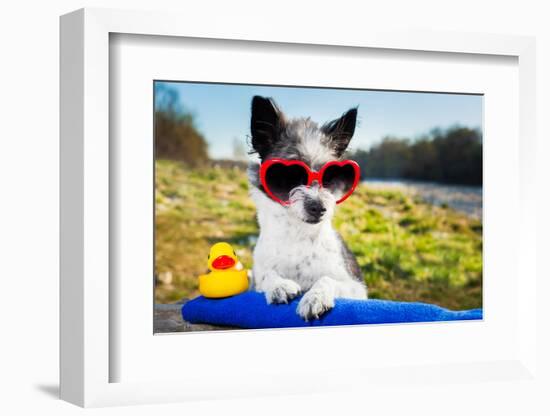 Summer Love Dog-Javier Brosch-Framed Photographic Print