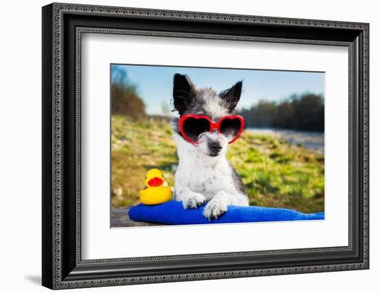 Summer Love Dog-Javier Brosch-Framed Photographic Print