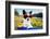 Summer Love Dog-Javier Brosch-Framed Photographic Print