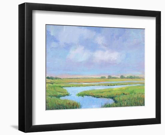 Summer Marsh II-Tim OToole-Framed Premium Giclee Print