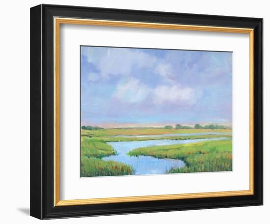 Summer Marsh II-Tim OToole-Framed Premium Giclee Print