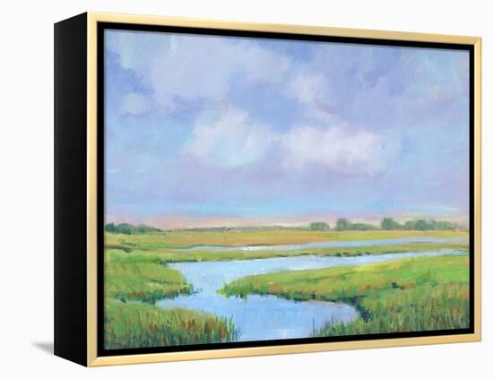 Summer Marsh II-Tim OToole-Framed Stretched Canvas